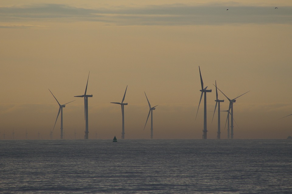 Morska farma wiatrowa, źródło: Pixabay