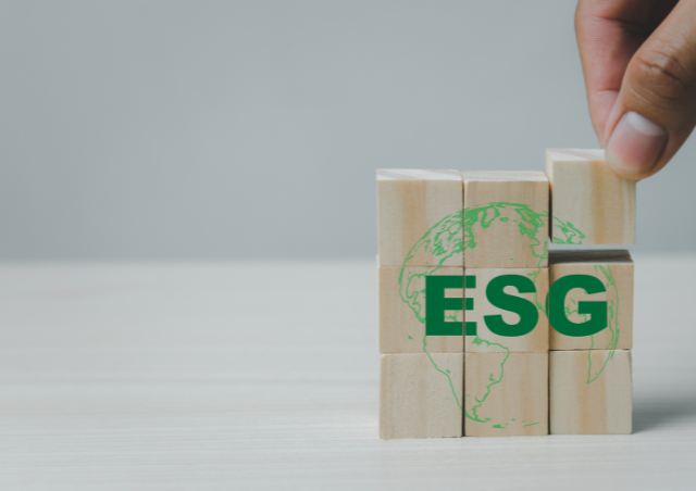 ESG, źródło: ZielonyRozwoj.pl
