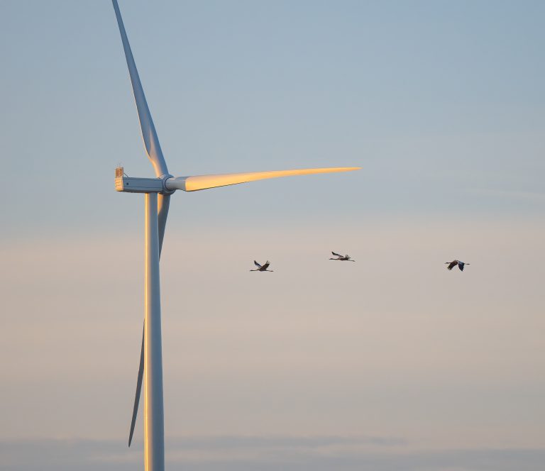 fot. Ignitis Renewables