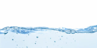 Komisja Europejska zintegruje przełomową umowę o ochronie morskiej bioróżnorodności z prawem unijnym fot. Adobestock