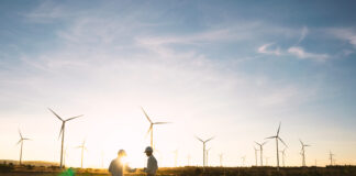 Brak nowej ustawy wiatrakowej generuje miliardowe straty dla Polski Lądowa farma wiatrowa, fot. Adobestock