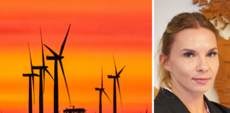 Ekspert przedstawi metody recyklingu odpadów kompozytowych z morskich farm wiatrowych i jachtów Dr inż. Katarzyna Panasiuk Fot. AdobeStock, UMG