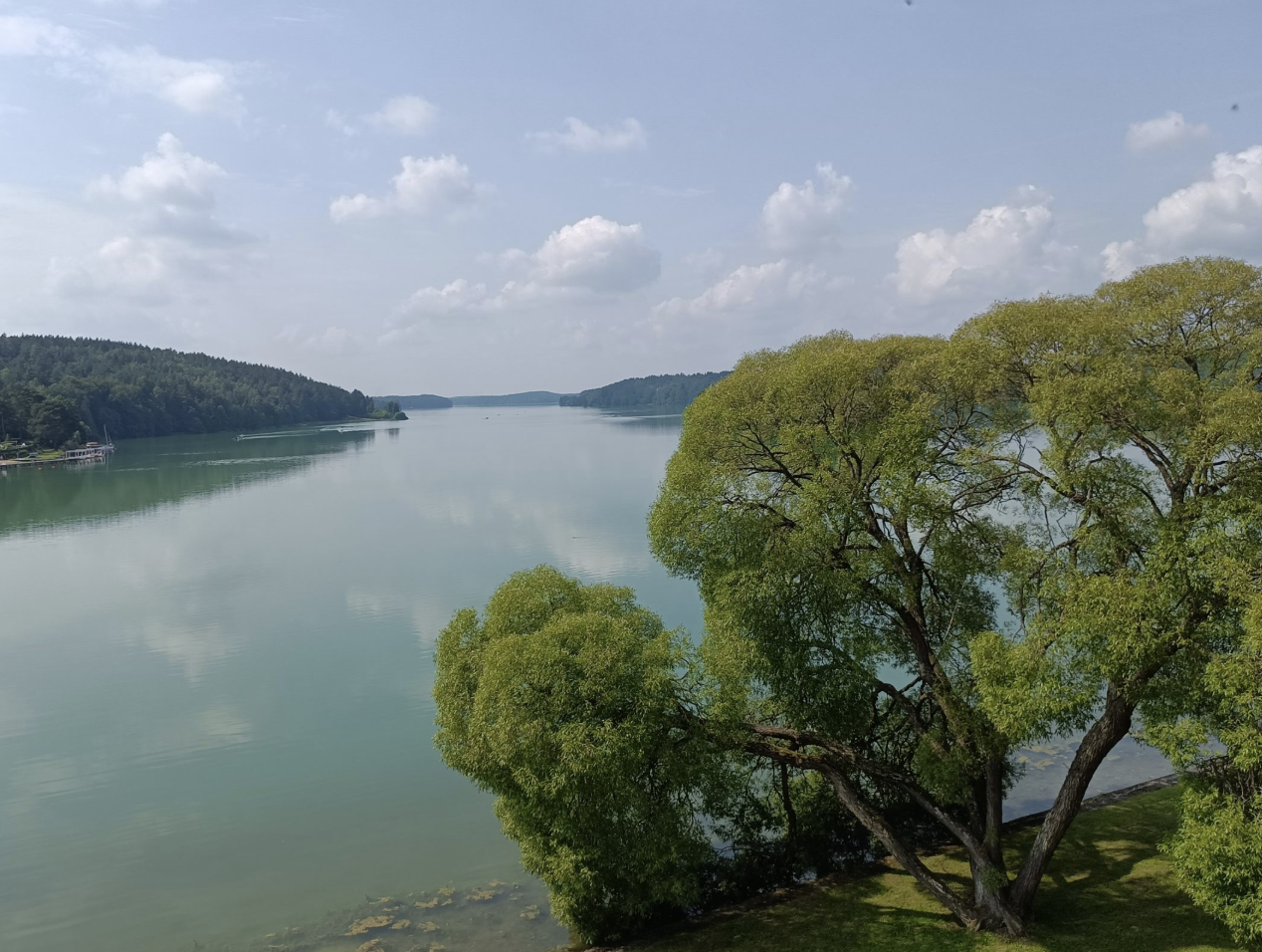 Borucino, fot. bluebiotechpreneurs.eu