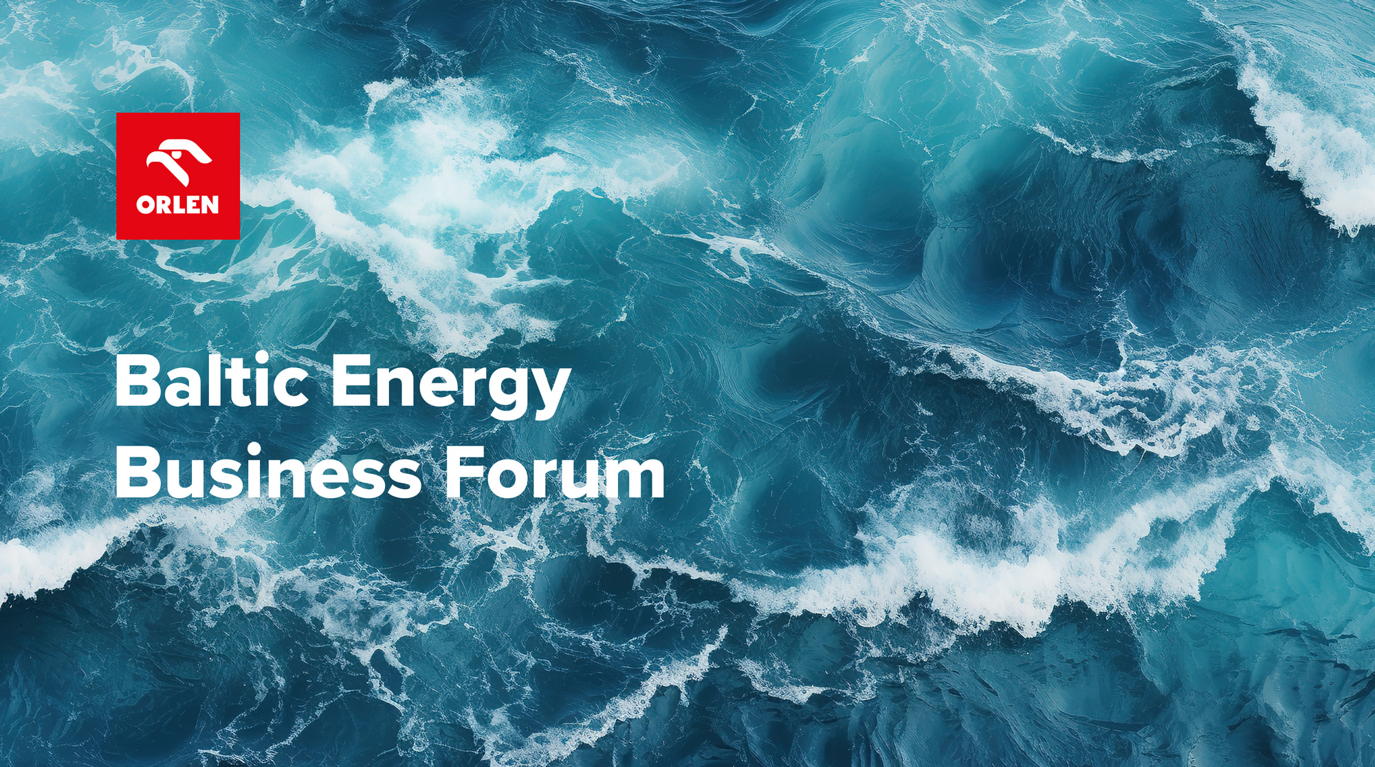 Baltic Energy Business Forum, źródło: Orlen