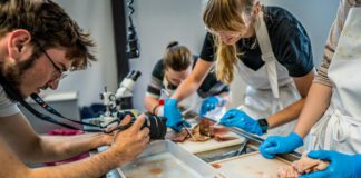 Energa i FRUG kontynuują ochronę Bałtyku w ramach projektu „Kierunek Bałtyk” Działania ekologiczne FRUG-u ze wsparciem Energi, fot. Energa