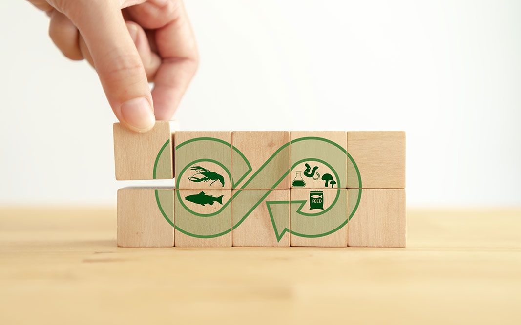 Źródło: SmartAqua4FuturE (SAFE)