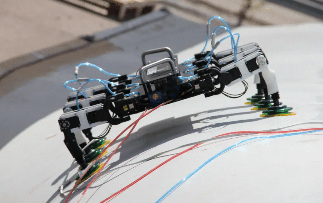 Robot na elemencie farmy wiatrowej, fot. BladeBUG