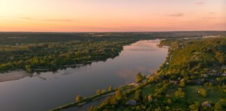 Fundacja Orlen dla Pomorza uruchamia program ochrony bioróżnorodności Wisły Wisła, fot. Orlen