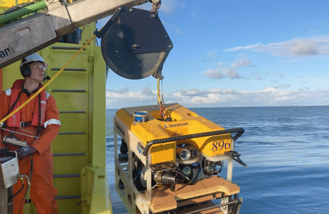 Surveying marine growth on offshore wind turbine foundations in the North Sea, fot. Vattenfall