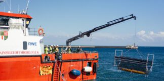 RWE uruchomił pionierski projekt monitoringu środowiskowego na morskiej farmie wiatrowej Kaskasi Projekt SeaMe, fot. RWE