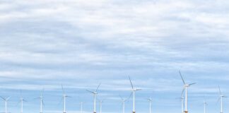 PSEW: Polska pozostaje jednym z najbardziej dynamicznie rozwijających się rynków offshore w Europie Morska energetyka wiatrowa, fot. Adobestock