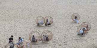 Akademia na Plaży przyciągnęła 450 uczniów – rekordowe zainteresowanie środowiskiem Bałtyku Akademia na Plaży, fot. UG