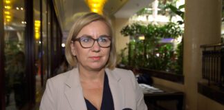 Onshore | Rząd zapowiada walkę o inwestycje w wiatraki Paulina Hennig-Kloska, fot. Newseria