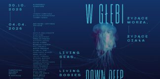 Ocean jako żywy organizm. Unikalna wystawa w Państwowej Galerii Sztuki w Sopocie Wystawa w głębi, fot. Państwowa Galeria Sztuki