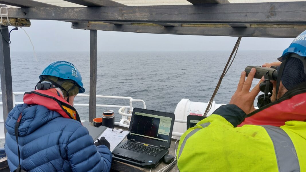 Badania dla Baltica 2, fot. Marcin Dyduch, 3BIRD